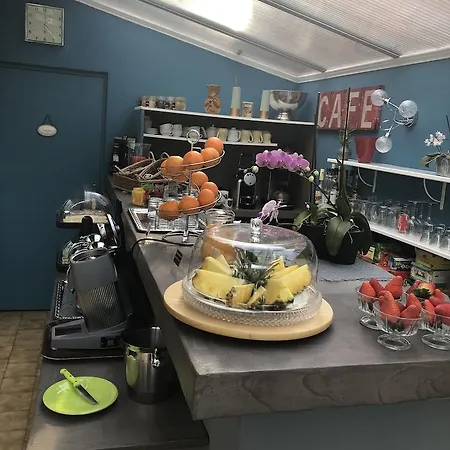 夏雷德利瑟尔酒店 酒店 戛纳